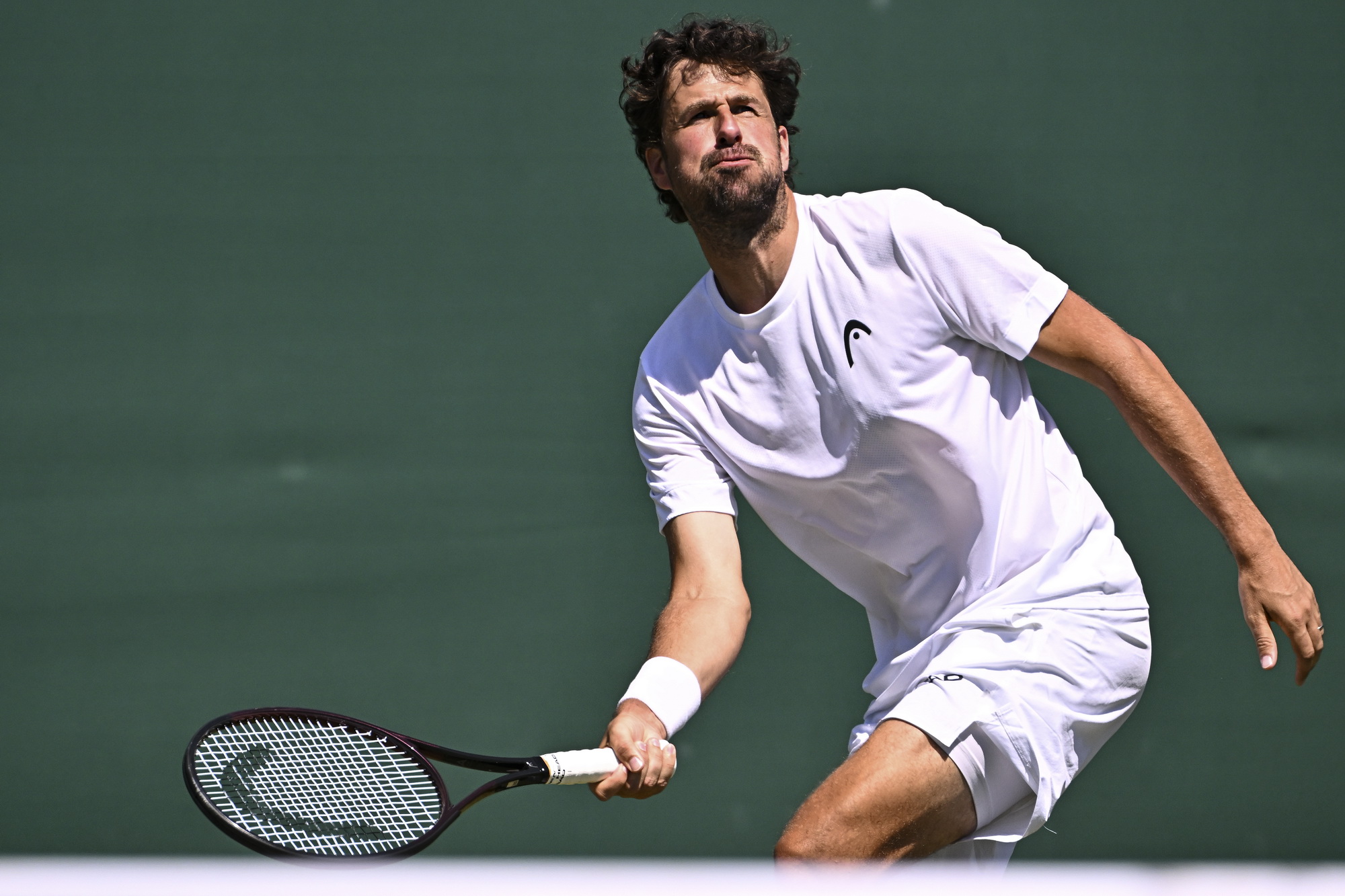 Haase (1)