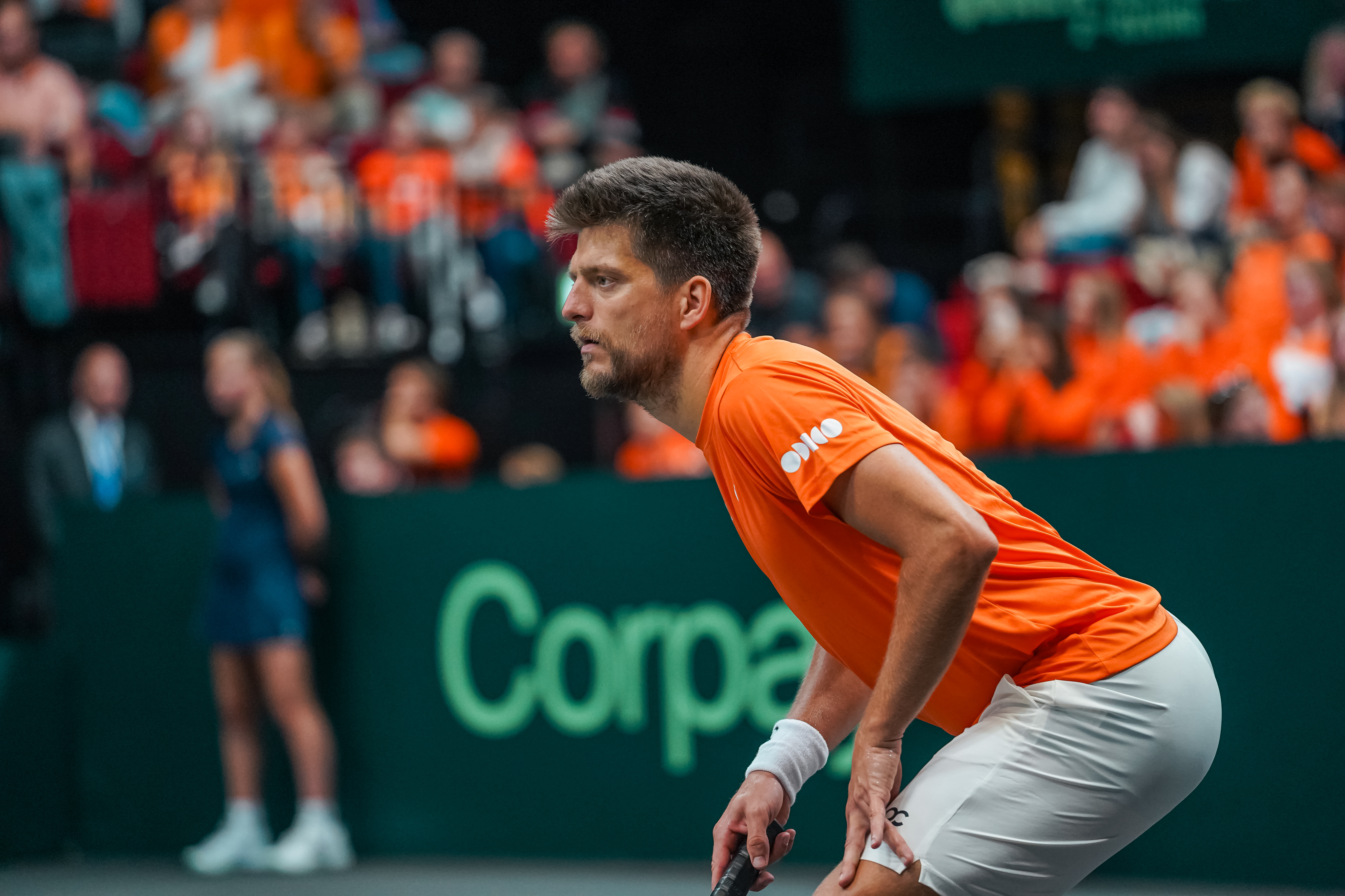 Sander Arends Davis Cup 2025