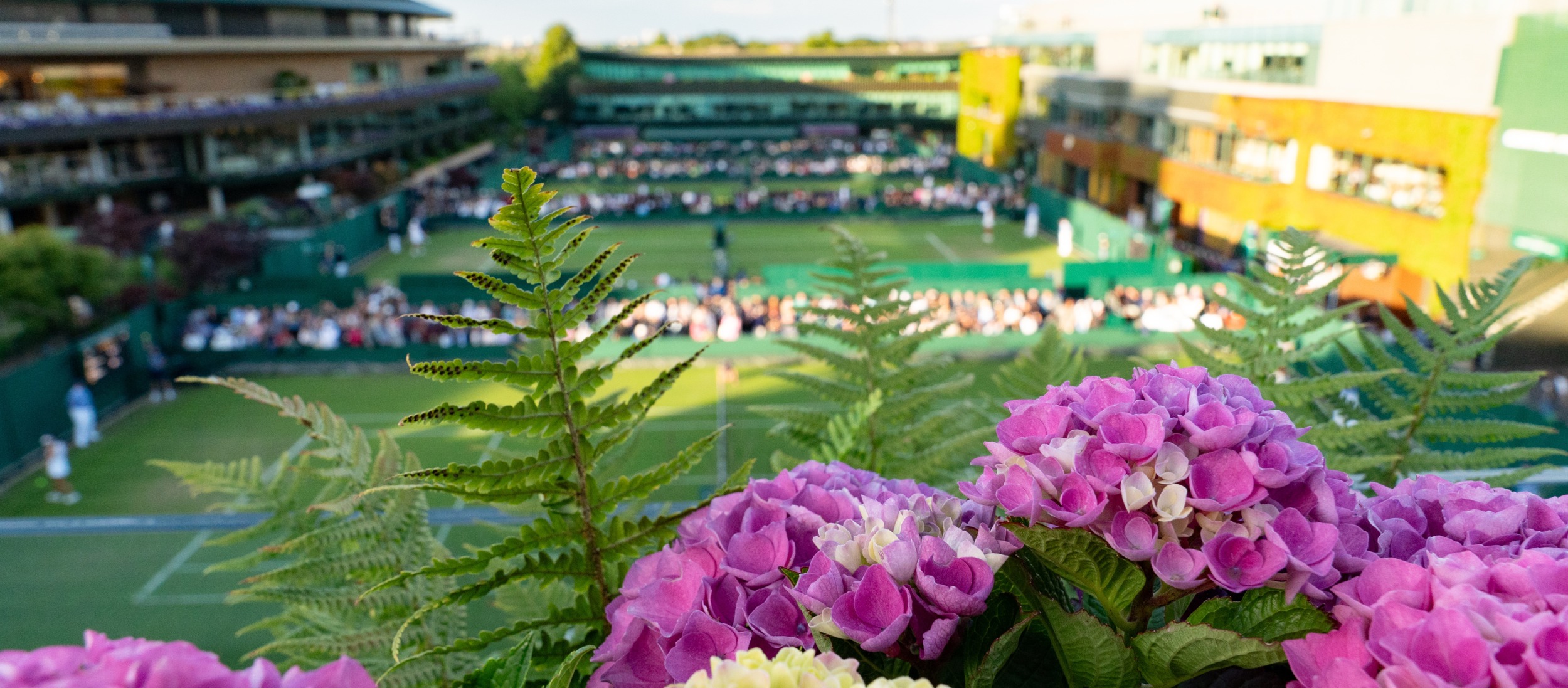 Overzichtsfoto Wimbledon sidecourts