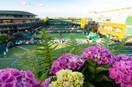 Overzichtsfoto Wimbledon sidecourts