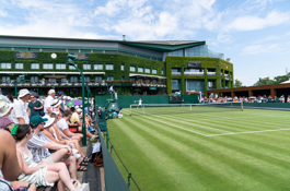 Wimbledon overzicht
