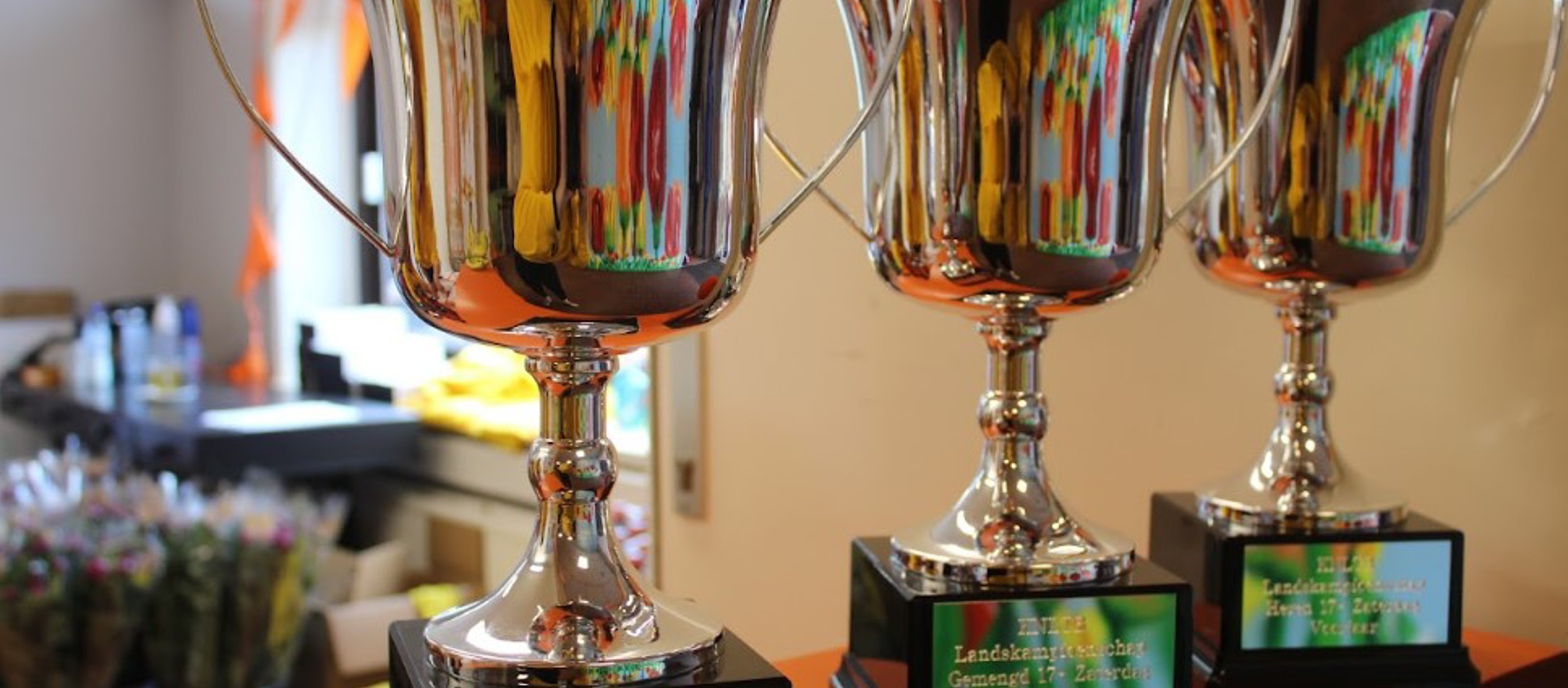 Landskampioenschappen trofee